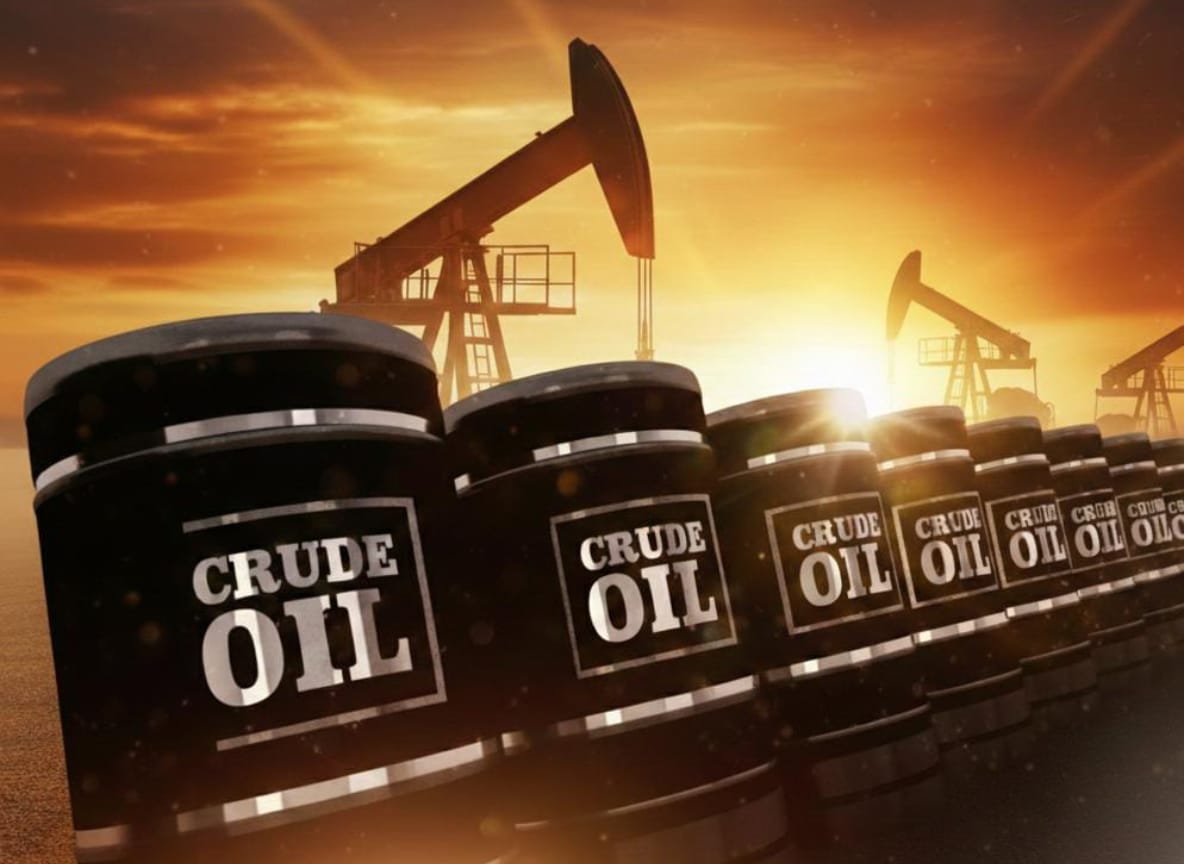 whatsapp image 2026 02 23 at 4.47.12 pm